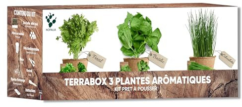 Kit Herbes Aromatiques & Aromates - Mini Potager Intérieur & Extérieur - Graines Biologiques (Basilic, Persil, Ciboulette) - Idée Cadeau Insolite & Cuisine - Produit Écologique - Made in France