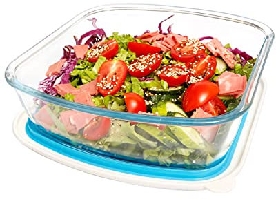 NUTRIUPS Plato cuadrado de vidrio para lasaña con tapa de plástico sin BPA, 22 x 23 cm, plato grande y profundo para horno