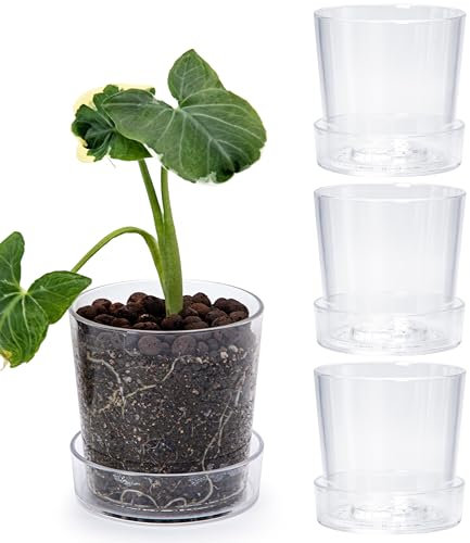 Phoenix Vine Vaso per orchidee in acrilico trasparente da 11,4 cm, con fori di drenaggio e vassoio, moderni contenitori trasparenti per piante da interno, erbe, fiori, set da 4, 91-A-E-4