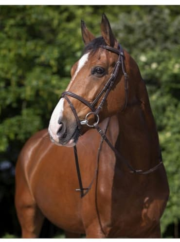 Riding World Trensenzaum havanna WB