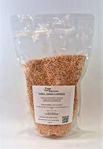 Cebada 6 carreras para sembrar. 5 Kilos