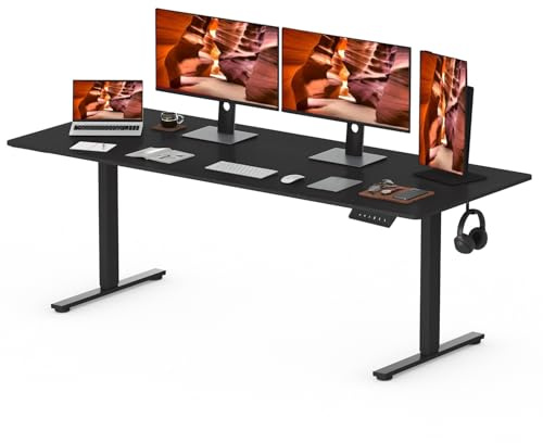 FitStand 160 * 80cm Standing Desk ONE PIECE Desktop Electric Height Adjustable Desk Large Stand Up Desks with 4 Memory Smart Pannel, Home Office Desk
