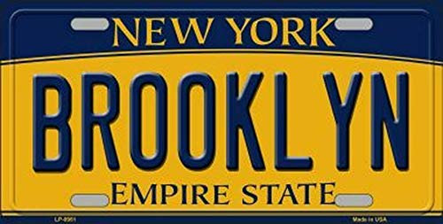 TammieLove Nummernschild Brooklyn New York State Hintergrund Neuheit Nummernschild Schild 15 x 30 cm