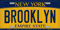TammieLove Nummernschild Brooklyn New York State Hintergrund Neuheit Nummernschild Schild 15 x 30 cm