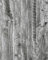 CiCiwind Grey Wood Effect Wallpaper Self Adhesive Contact Paper 44×1000cm Wood Stick on Wallpaper Peel and Stick Wallpaper Wood Vinyl Wrap Removable Sticky Back Wallpaper for Bedroom Kitchen Furniture