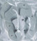 6 Stück Duschvorhang Clips, 5.5cm Schutz Spritzschutz Clip, Selbstklebende Curtain Clips, Winddichte Schutz Clip, Klammern Weiß Shower Curtain zum Halten Duschvorhang Vorhang Cleveres Zubehör