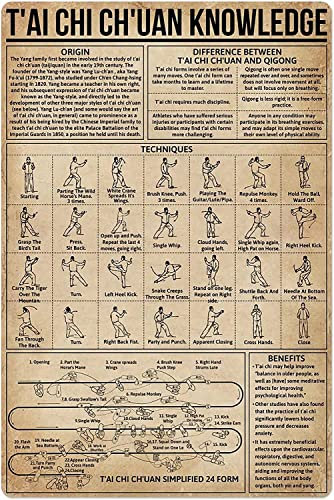 FJQWKLF Metall-Blechschild „Kung Fu Wissen, Tai Chi Chuan, Anatomie, Infografik-Poster, Kampfsport, Halle, Club, Zuhause, Schlafzimmer, Schule, pädagogische Wanddekoration, 30,5 x 40,6 cm