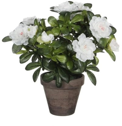 Azalea Kunstpflanze im Blumentopf Stan - H27 x Ø20 cm - Weiß