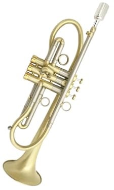 Standardinstrument Trompete Professionelle Trompete In Der Tonart Bb Messing Mit Gold Finish Profi Instrument Mit Box