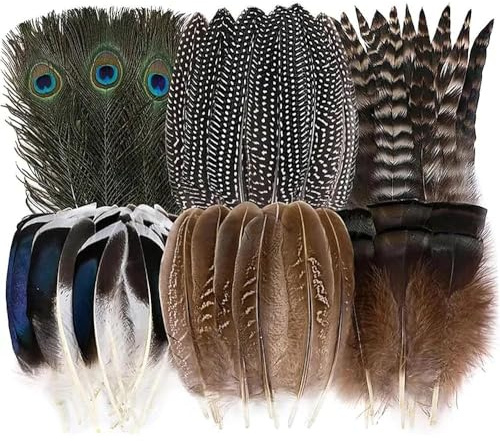 AYZDJ 48-teiliges natürliches Federsortiment – gemischte Bastelfedern inklusive Pfau, Fasan, Truthahn für selbstgemachten Schmuck, Hüte, Kränze und Hochzeitsdekoration