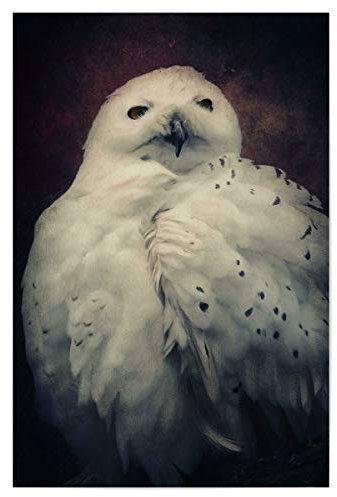 artboxONE Poster 30x20 cm Natur Hedwig hochwertiger Design Kunstdruck - Bild Eule Eule Harry Potter