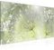 Runa Art Wandbild Pusteblume 1 Teilig 100 x 40 cm Modern Bild auf Vlies Leinwand Gräser Wohnzimmer Schlafzimmer Grün Grau 205612b