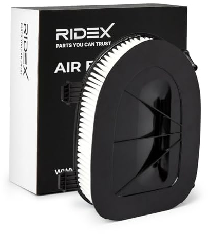 RIDEX 8A0276 Luftfilter Kompatibel mit BMW X3 F25 X5 E70 X5 F15, F85 X6 E71, E72