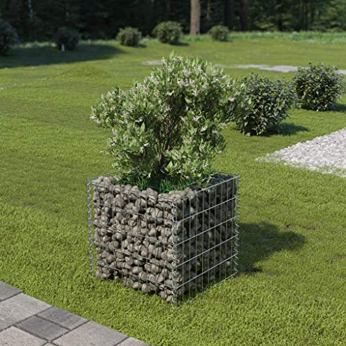 Tidyard Jardinière à Gabion (Pierres Non incluses) en Acier Galvanisé avec Grande Capacité de Charge Argenté 50 x 50 x 50 cm