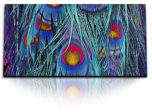 Paul Sinus Kunstdruck Bilder 120x60cm Feder Pfauenfeder Farbenfroh Bunt Kunstvoll