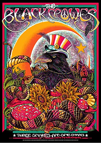 Pixel DemonMG Black Crowes 1 Retro Vintage Rock Konzert Poster A3