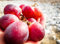 Riesige süße Weinrebe 5 Samen Trauben Rebe (Grape Red Globe)