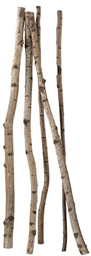 Deko Birkenstämme 170 cm, 5 Stück Natur Deko-Holz Baumstämme Birken Naturdekorationen Herbstdekoration
