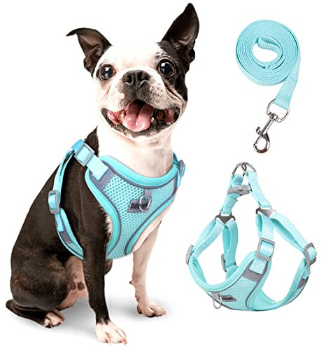rennaio Hundegeschirr Kein Ziehen, Verstellbares Welpengeschirr mit 2 Leinenclips, Reflektierendes Hundegeschirr und Leine Set für kleine und mittelgroße Hunde (Cyan, M)