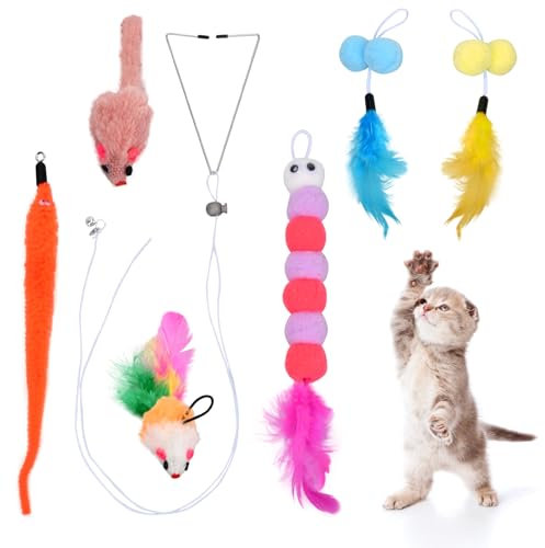 Dokeno 6 Stück Interaktives Katzenspielzeug Katzenspielzeug Selbstbeschäftigung Katzenspielzeug mit Federn Hängende Türrahmen Hängendes Katzenspielzeug Set für Katzenauslauf und Gegen Langeweile