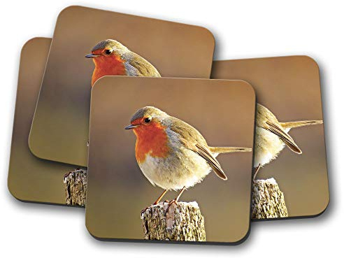 4 Set - Cute Robin Coaster - Bird Redbreast Twitcher Christmas Pretty #8701