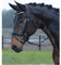 Busse