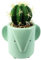 Leaf Ceramic Animal Planters, Elephant Cactus, 19cm