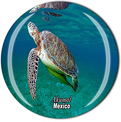 Akumal Beach Mexico Fridge Magnet Crystal Tourist Souvenir Gift Collection Refrigerator Magnetic Sticker