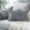 Soleebee 2er Set Plüsch Samt Kissenbezüge, Weiche Künstliche Pelz Dekorativ Kissenbezug Sofa Zierkissenbezüge Dekokissen Kissenhülle Set für Couch Schlafzimmer Zuhause Auto Dekor (30x50cm, Grau)