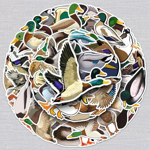 Ente Aufkleber für Jugendliche Erwachsene 50 Stück Duck Vinyl Sticker Set Auto Motorräder Fahrrad Skateboard Snowboard Gepäck Laptop Koffer Helm Motorrad Computer