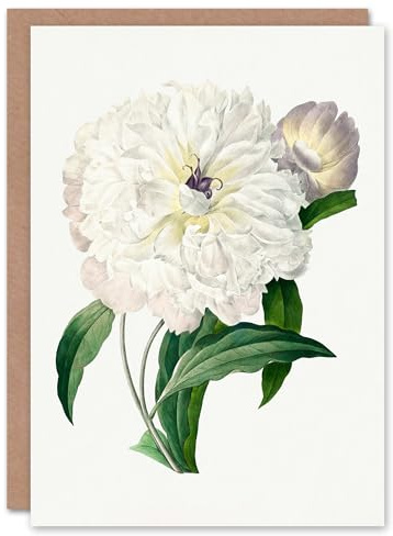 Artery8 Pierre-Joseph Redouté Art Card Vintage Peony Flower Illustration