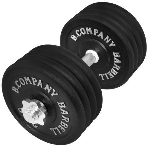 Guss Kurzhantel-Set 42,5Kg (1 x Kurzhantelstange 40cm und 8x5Kg Hantelscheiben) Hantelset Hanteln Gewichte