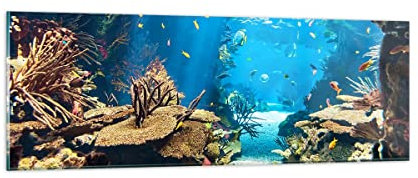 Panorama Bilder auf Glas Ozean Riff Fische Koralle Glasbild 90x30cm Wandbilder Dekoration Wohnzimmer Schlafzimmer Küche Klein Wanddeko Bild im Glas Wand Kunstdruck Art Modern Wall Decor GAB90x30-2872