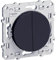 Schneider Electric S540216 Odace, double bouton-poussoir, 10 AX, Anthracite Odace, double poussoir Anthracite, à vis, connexion rapide
