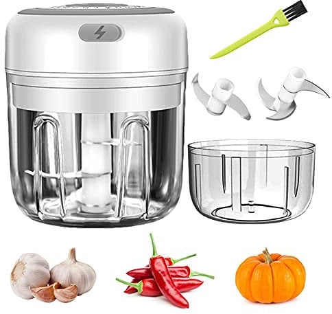 WMLBK USB 30W Stainless Steel 2 Type of Cutters a set Electric Garlic Chopper-Mini Garlic Blender With Brush-Portable Food Processor 250ml+100ml Capatity Bowl For Peppers,Onions,Food,Meat,Vegetables