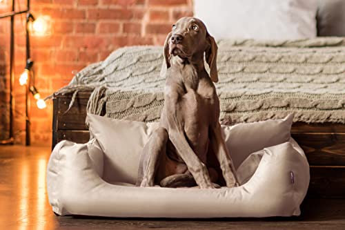 tierlando® NEMO Hundebett aus robustem Oxford 600D, Hundesofa mit herausnehmbarer Komfort-Matratze und waschbarem Bezug, für kleine & mittelgroße Hunde Größe: 65x50cm | Farbe: 14 Beige
