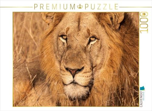 CALVENDO Puzzle Im besten Mannesalter. | 1000 Teile Lege-Größe 64 x 48 cm Foto-Puzzle für glückliche Stunden