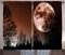 ABAKUHAUS Mond Rustikaler Gardine, Abstrakt Farbiger Wald, Schlafzimmer Kräuselband Vorhang mit Schlaufen und Haken, 280 x 245 cm, Redwood Schwarz