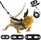 Pawaboo Haustiergeschirr, 3 Leder Bearded Dragon Eidechse Geschirr Hängematte Set Verstellbare Outdoor Harness Leine für Kleine Haustiere Eidechse Reptilien - Schwarz + Gold