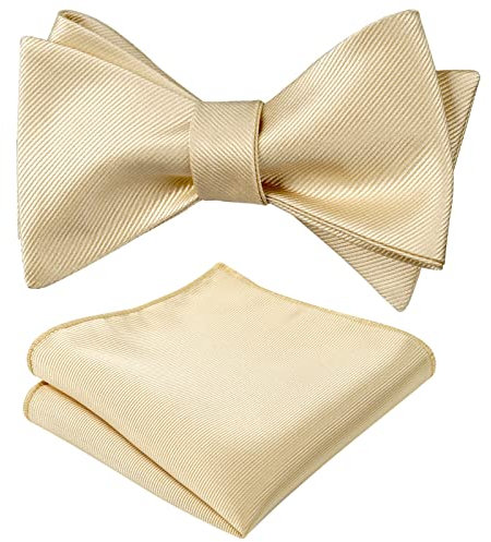 Alizeal Herren Classic Self Fliege und Taschentuch Set, Champagner