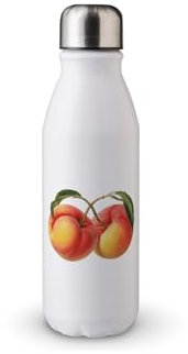 MAXIKIWI Borraccia a parete singola con tappo a vite, in alluminio leggero non isolato, senza BPA, a prova di perdite, pesca vintage, 500 ml