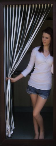 Heavy Duty Bug Blind,Strip Blind/Fly Blind-90cm wide-GREEN & WHITE- Complete With Screw In Fitting Hooks For Wooden Door frames