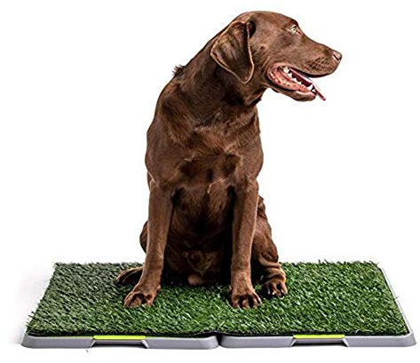 YANYUESHOP Pet Dog Potty Pee Turf Grass, Kunstrasen, Einbruch, Pet Turf Potty Trainingswerkzeug – Funktioniert für Welpen und Erwachsene Hunde