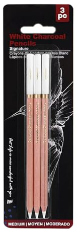 Lot de 2/3/4 crayons à charbon blancs pour dessin, outils de dessin pour étudiants et amateurs