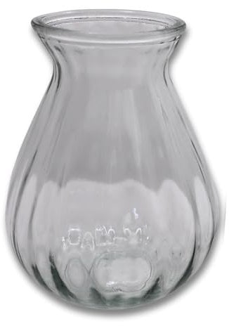 Hyazinthenglas Ideal für präparierte Hyazinthen oder Ableger von Zimmerpflanzen Farblos/klar