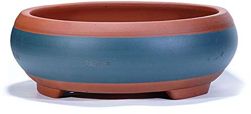 Bonsai-Topf, unglasiertes Becken, Bonsai-töpfe, Garten-blumentopf, lila Sand, belüftung, Keramik, sukkulenten-pflanztöpfe, großer Durchmesser, oval, Alter Flor, alte Wurzel, holzige grüne Pflanze,