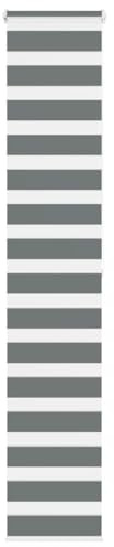 vidaXL Doppelrollo Dunkelgrau 40x200 cm Stoffbreite 35,9 cm Polyester