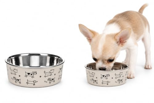 gamelle pour Chien - Petite gamelle Jappie Beige en INOX - Bol antidérapant - pour Chien et Chat - 150ml