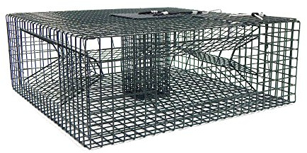 Beau Mac Shrimp Trap: 25X25X9.5 4 Door