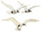 Boltze Wandobjekt Vogel (Wanddeko aus Metall, Vögel, maritimes Motiv, Wandbild für Flur / Wohnzimmer / Esszimmer) 1014713